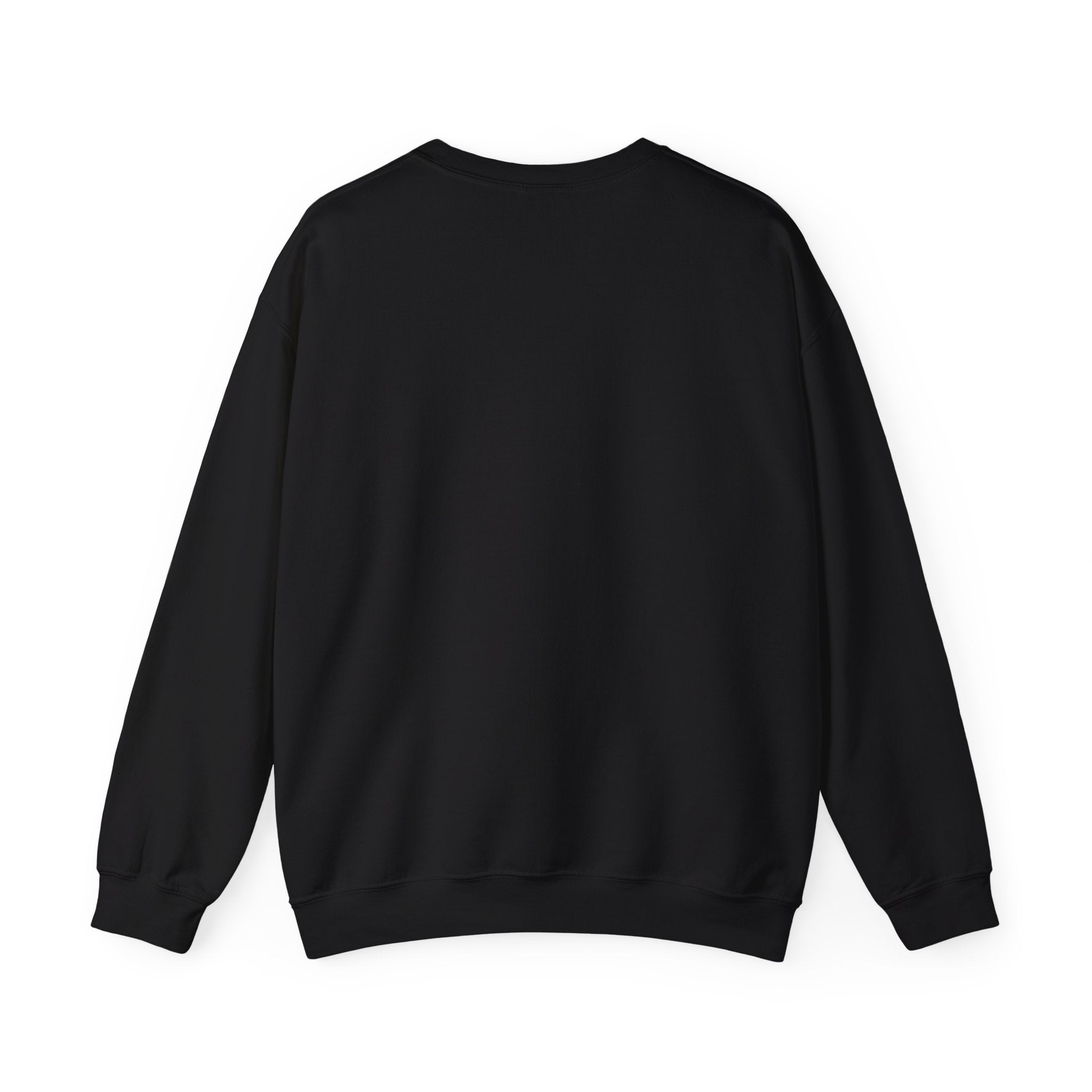 Crewneck Sweatshirt – "NO!!! Make Me..." Funny Sassy Graphic Pullover