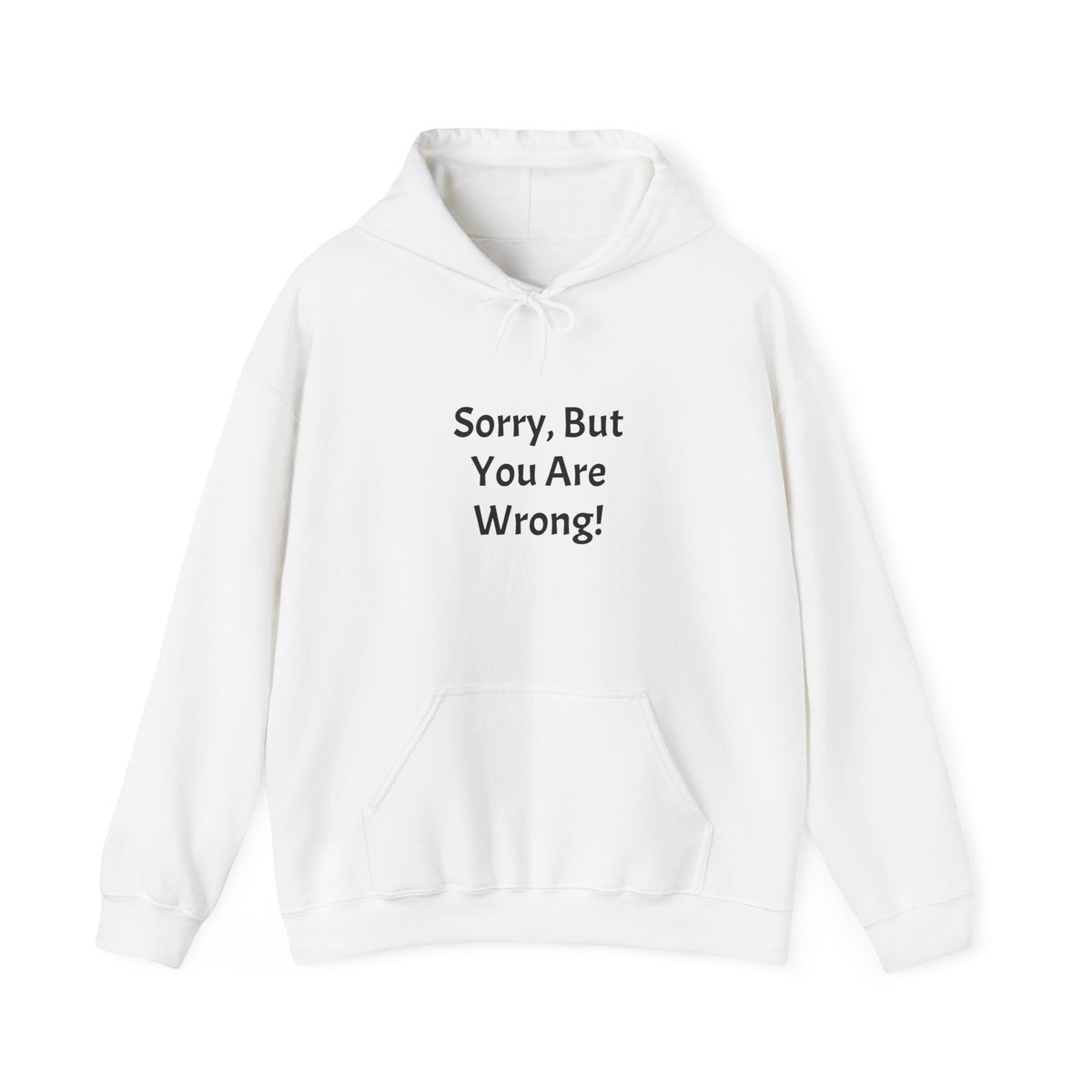 'Sorry, But You Are Wrong!' Hoodie - Funny Statement Pullover